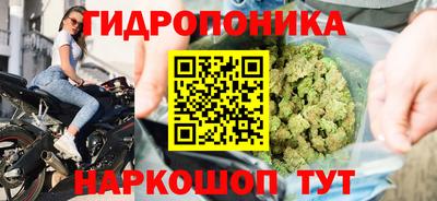 гашик Бузулук